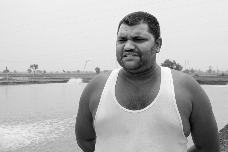 Shrimp Farming in Saline Agricultural Fields in Haryana - shrimp farmer Sanjit explaining about the water quality  in his farm ponds